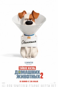 Тайная жизнь домашних животных 2  (2019)