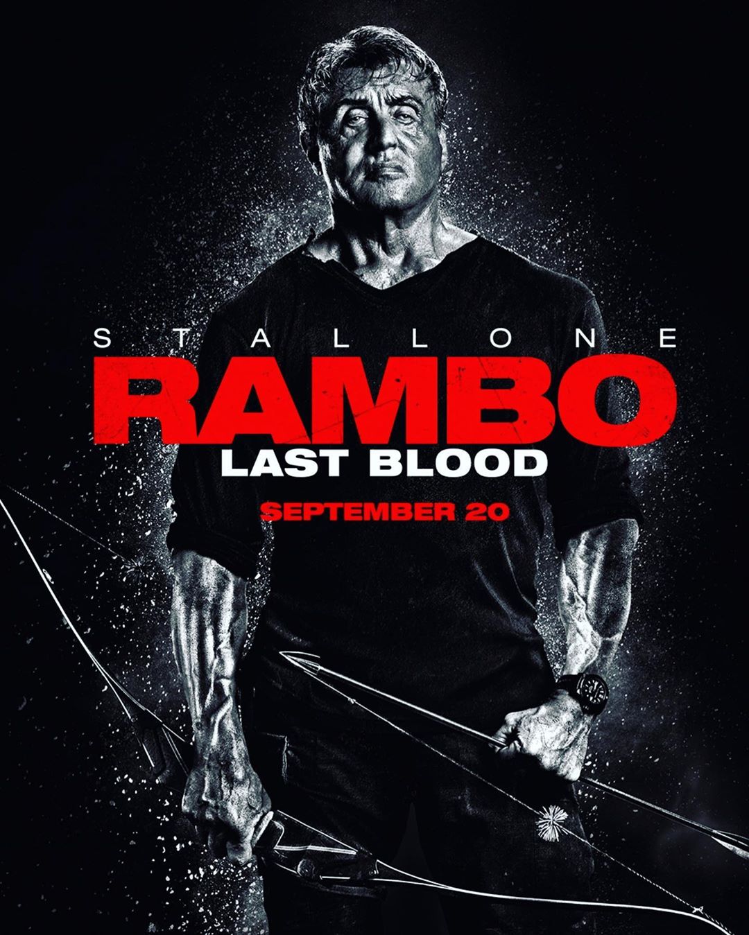 Рэмбо: Последняя кровь (2019)